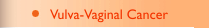 Vulva-Vaginal Cancer